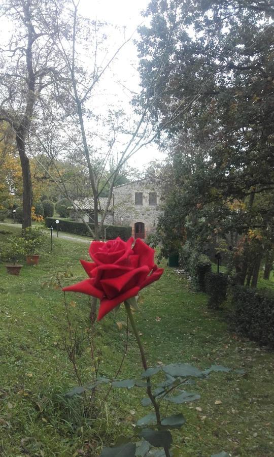 Il Cornalino