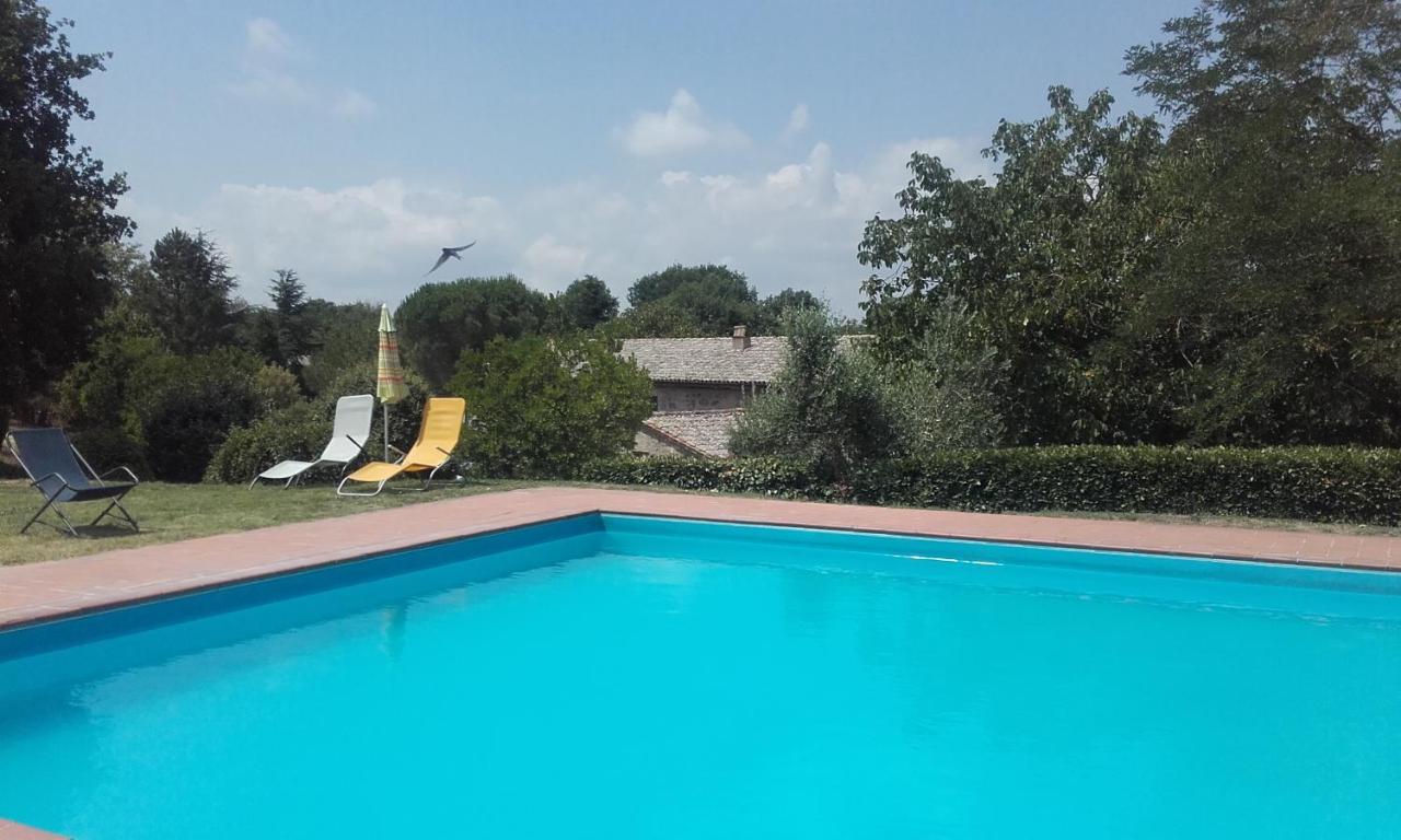 Il Cornalino Bauernhof Castel Viscardo