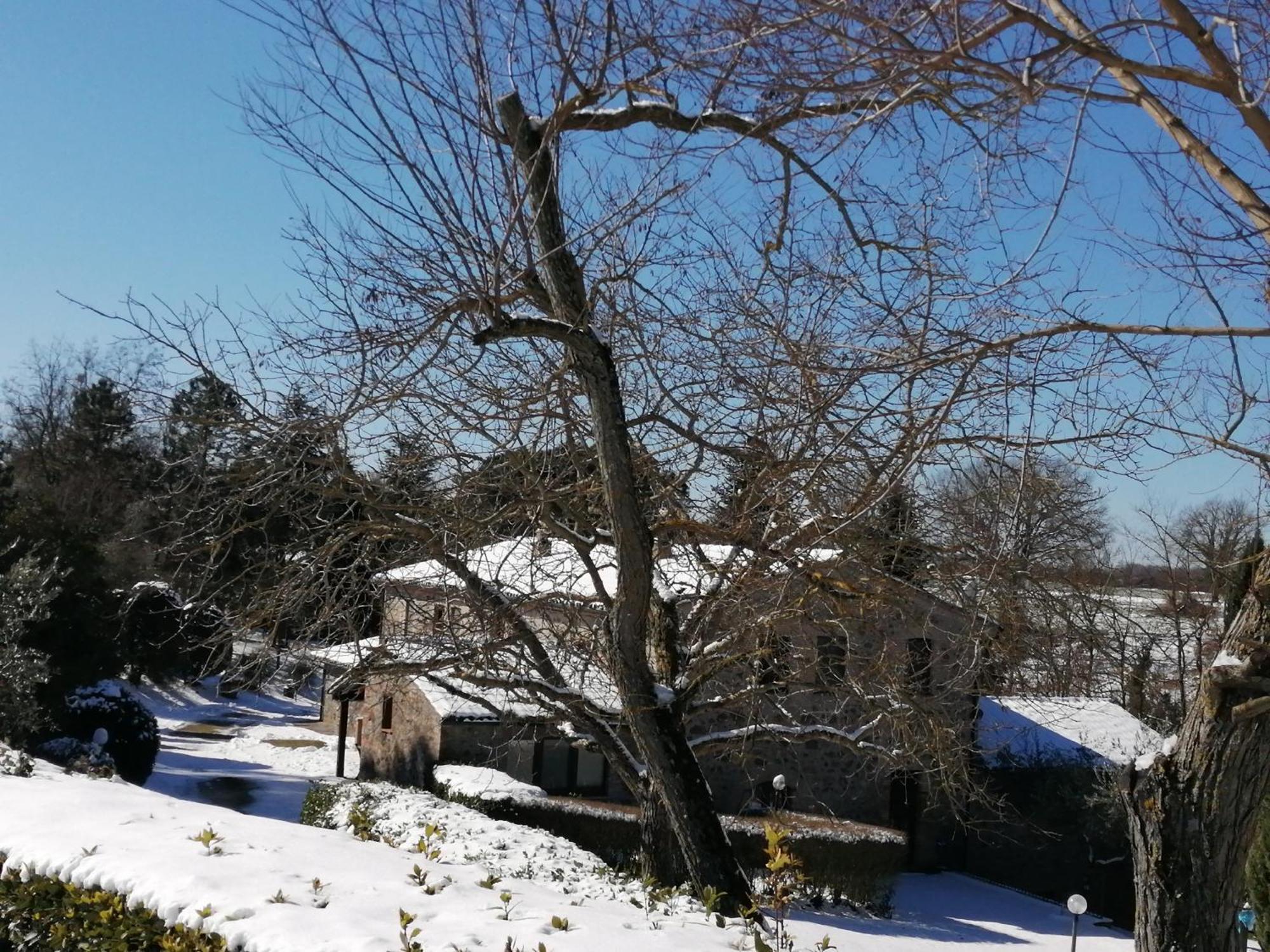Il Cornalino Castel Viscardo