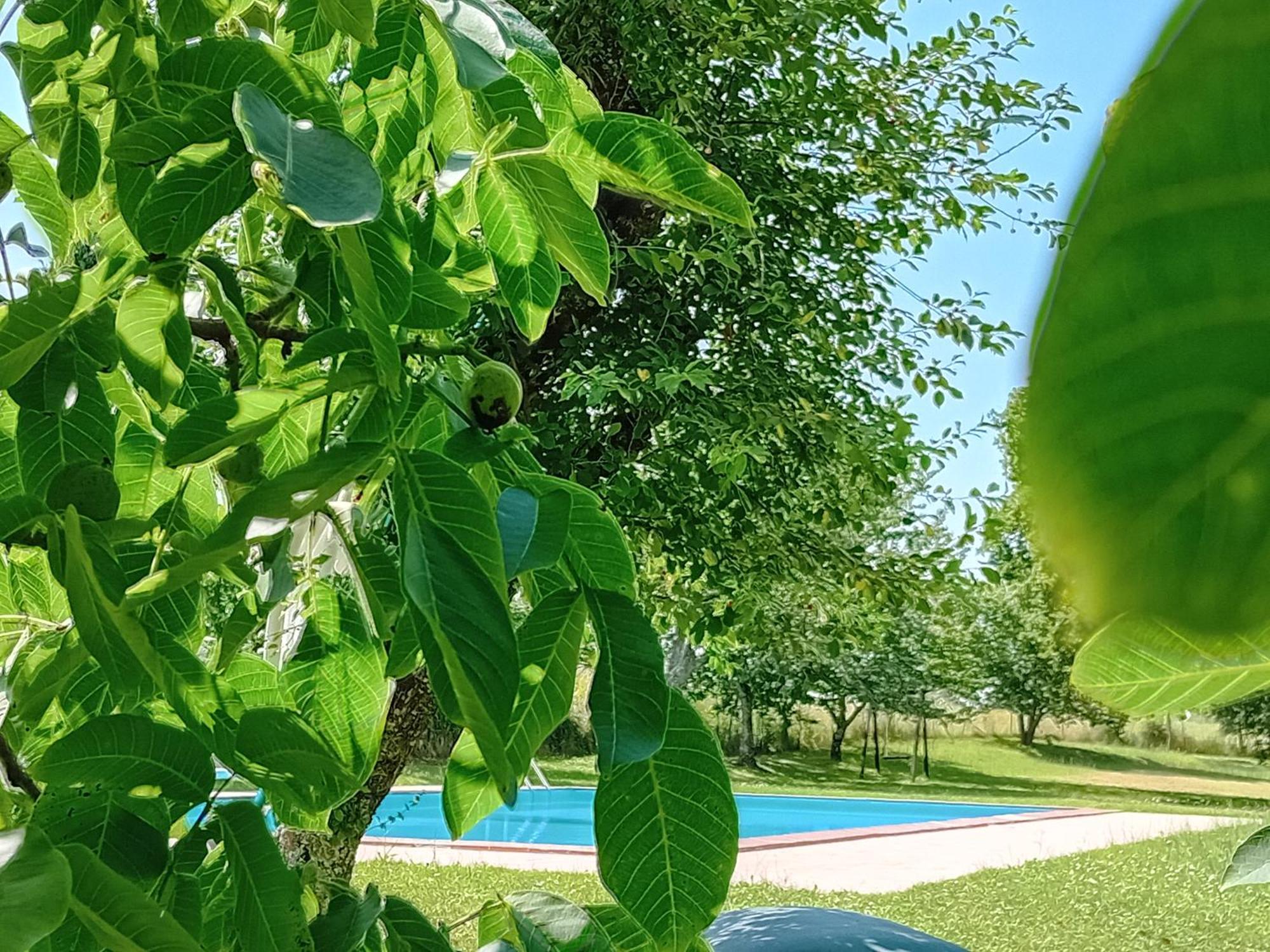 Agroturismo Il Cornalino Castel Viscardo