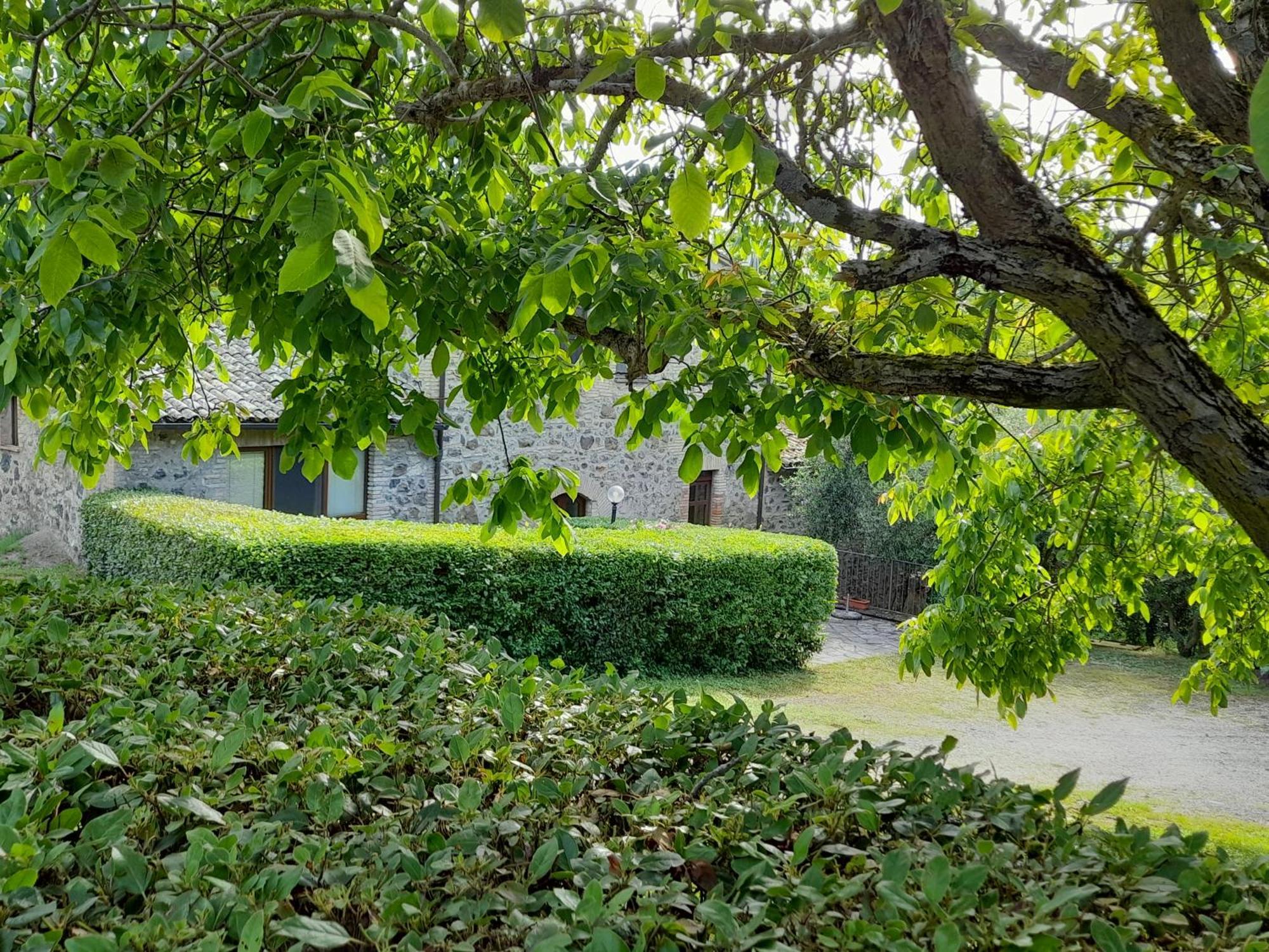 Agroturismo Il Cornalino